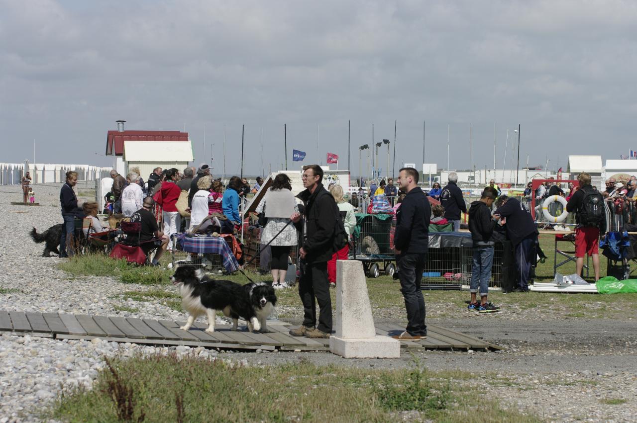 2015-07-25 - cayeux sur mer démo 74