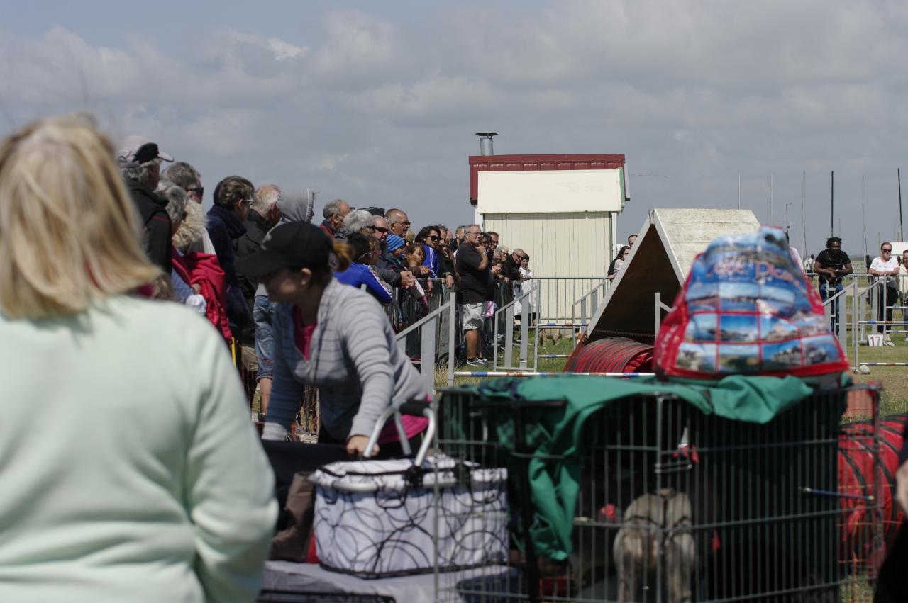 25.07.2015 démocayeux sur mer (17)