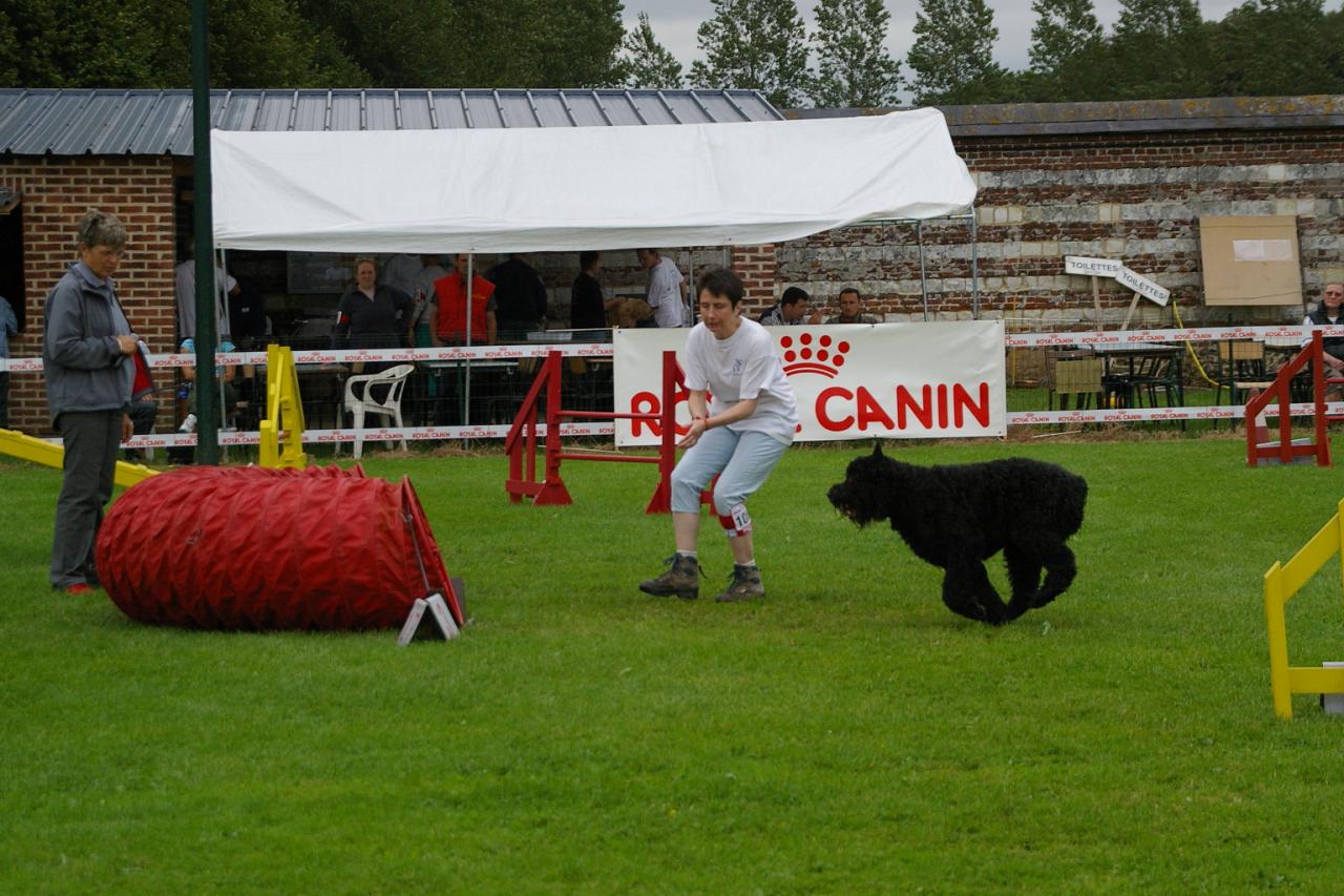 domvast concours ,2006 anne