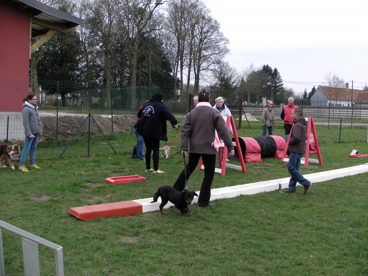 école des chiots 15 (1)