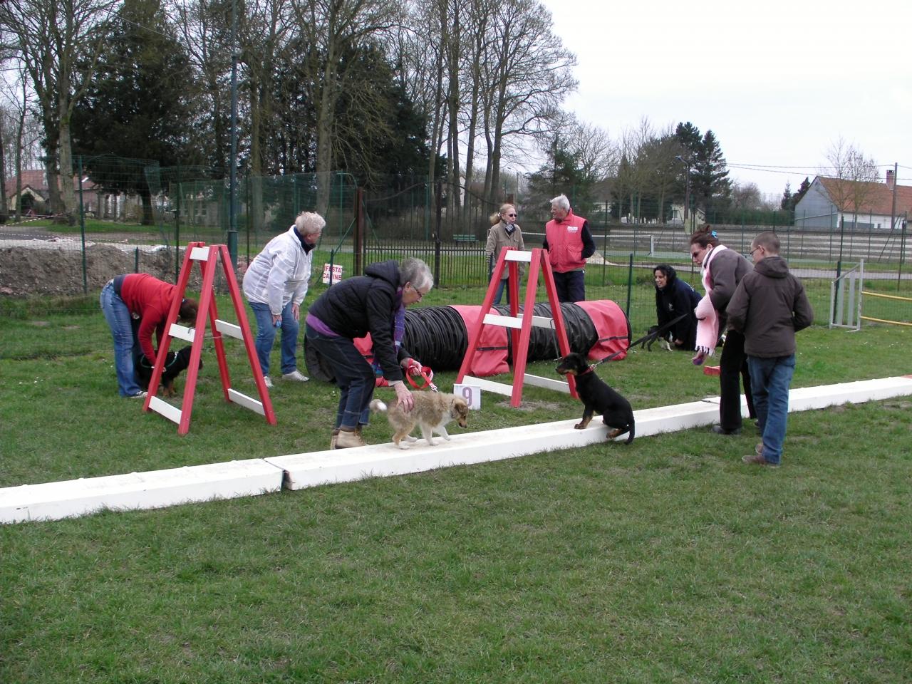 école des chiots 15 (2)