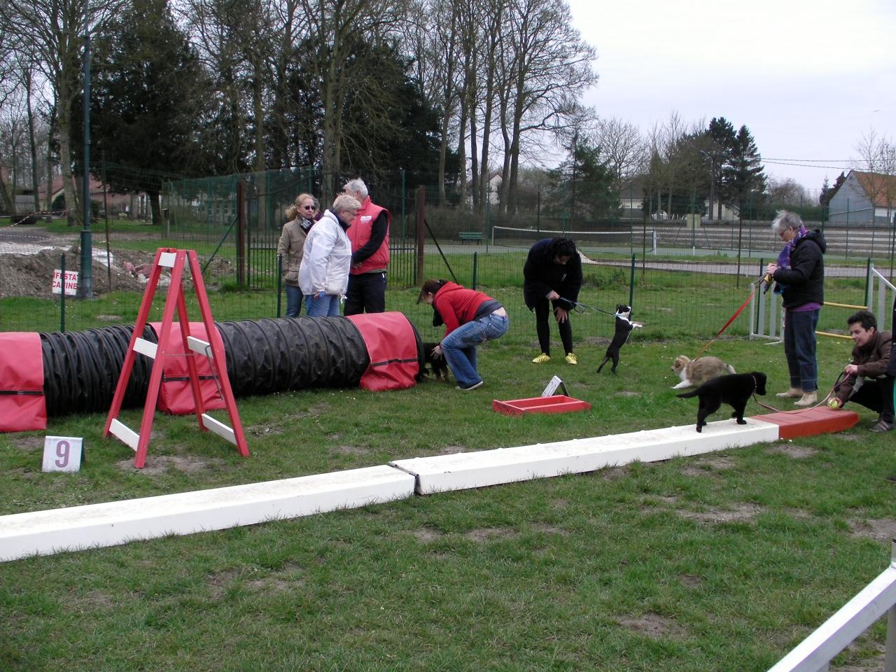 école des chiots 15 (4)