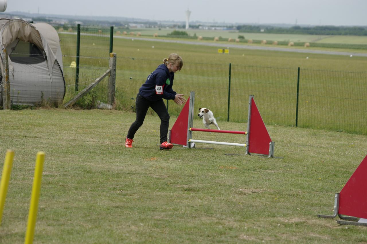 glisy dcc agility (11)