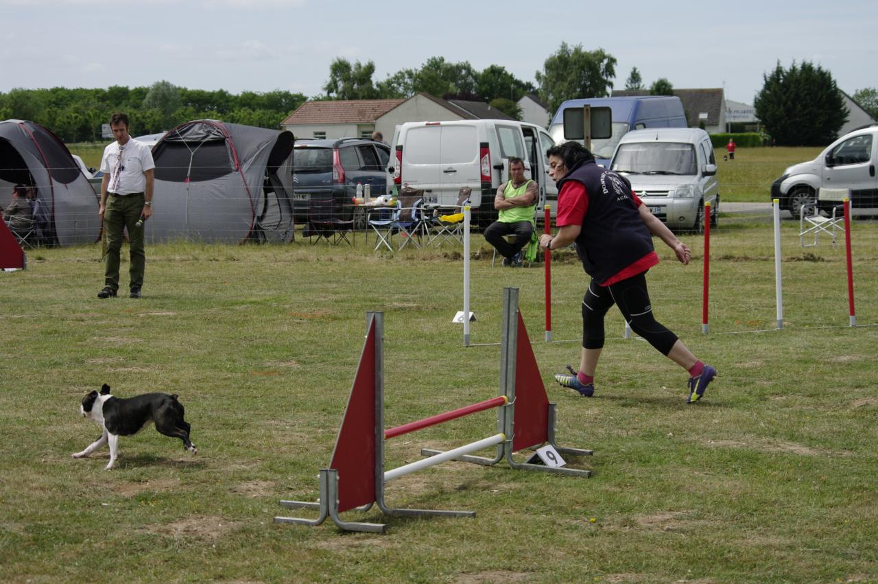 glisy dcc agility (8)