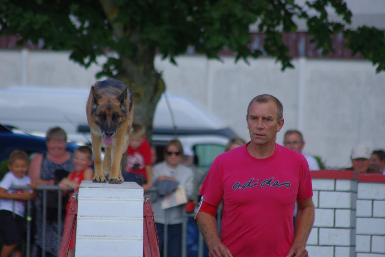 Hervé et Ardèle