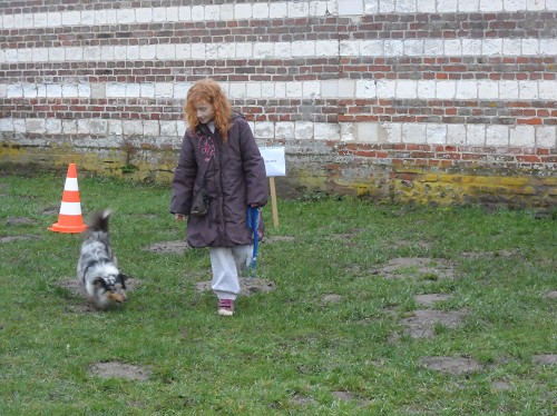 Marche sans laisse avec Chloé