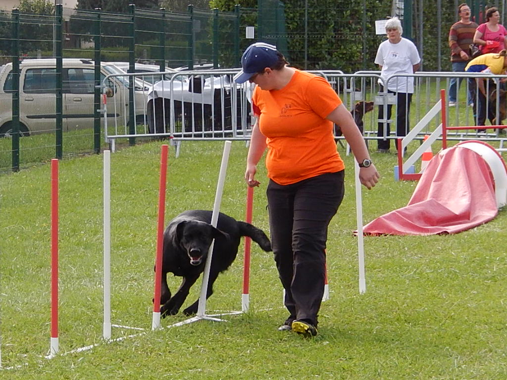 Salem dans le slalom