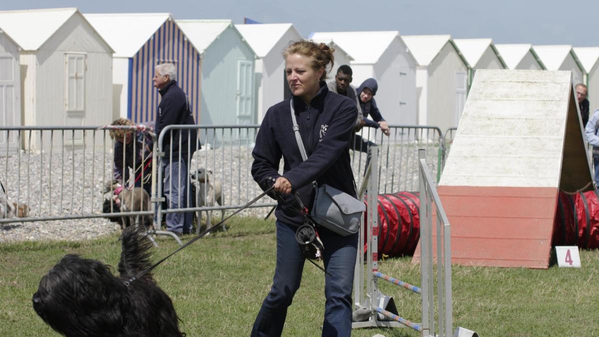 2015 07 25 cayeux sur mer demo 30