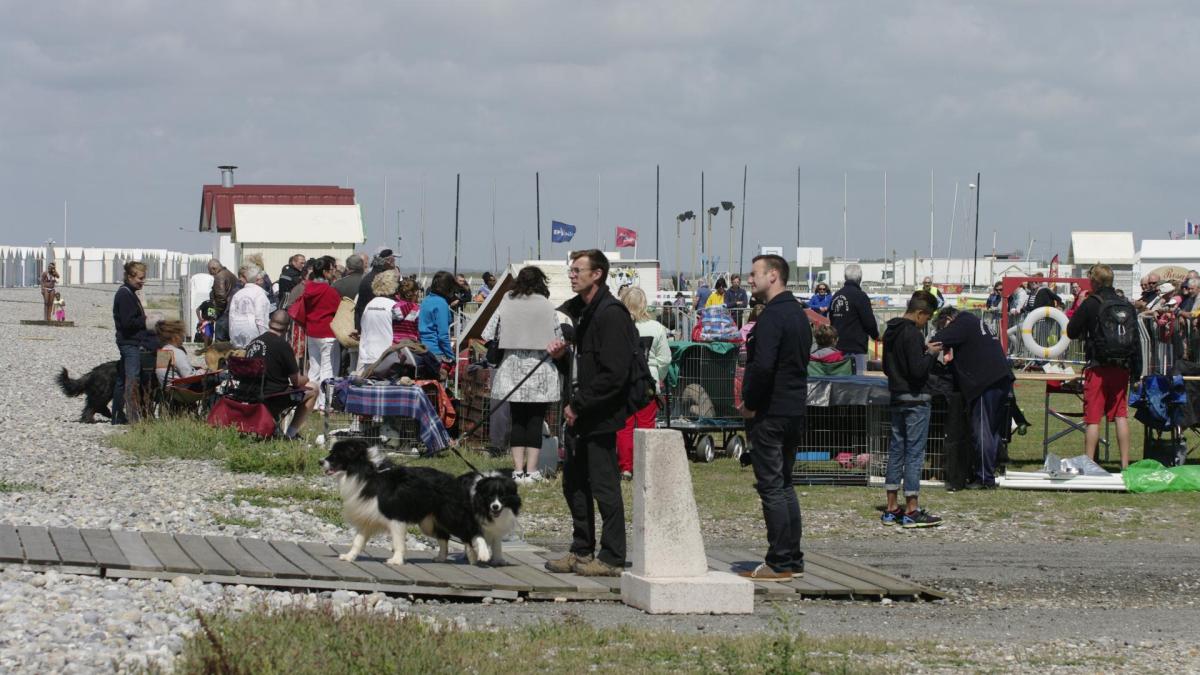 2015 07 25 cayeux sur mer demo 74
