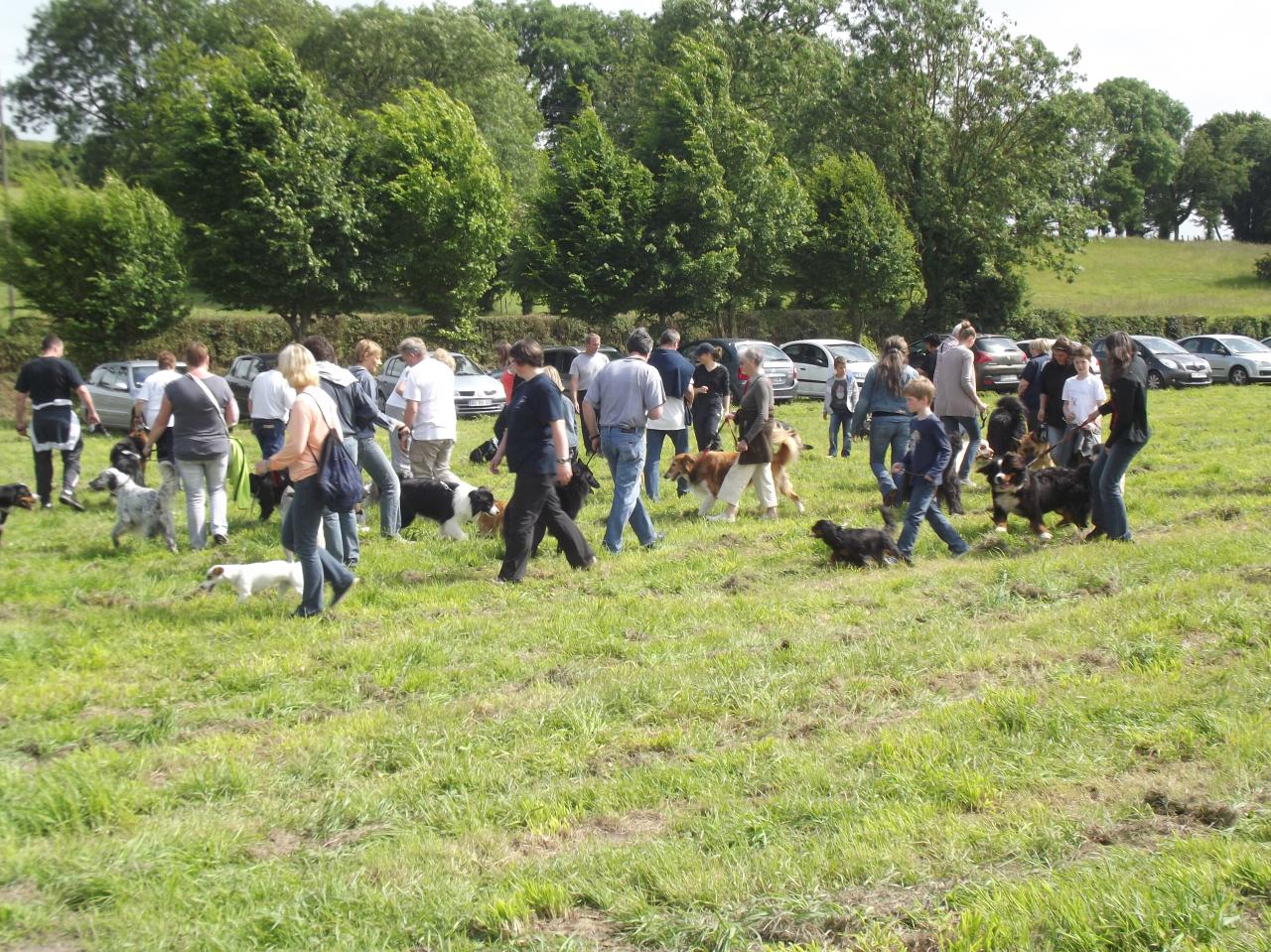 Gros succès de la démonstration canine