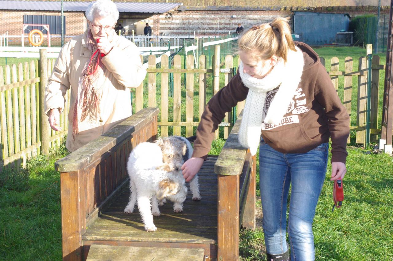 La passerelle pour chiot - Stéphanie et Flora