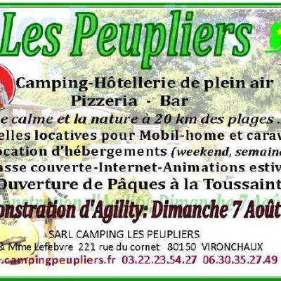 Les peupliers 1