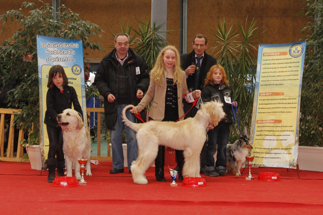 Exposition de Beauté à flixecourt