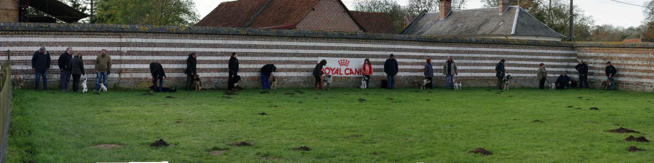 Education canine à domvast